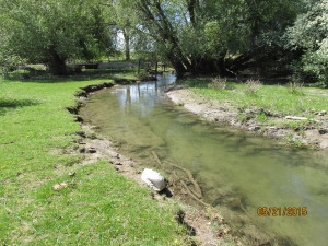 Trumbull Creek in May 2015, post-construction.