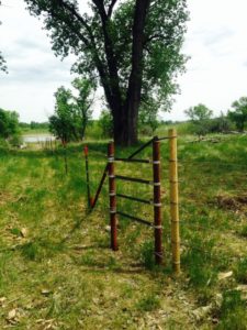 Riparian fencing built along the Missouri through Ranching for Rivers