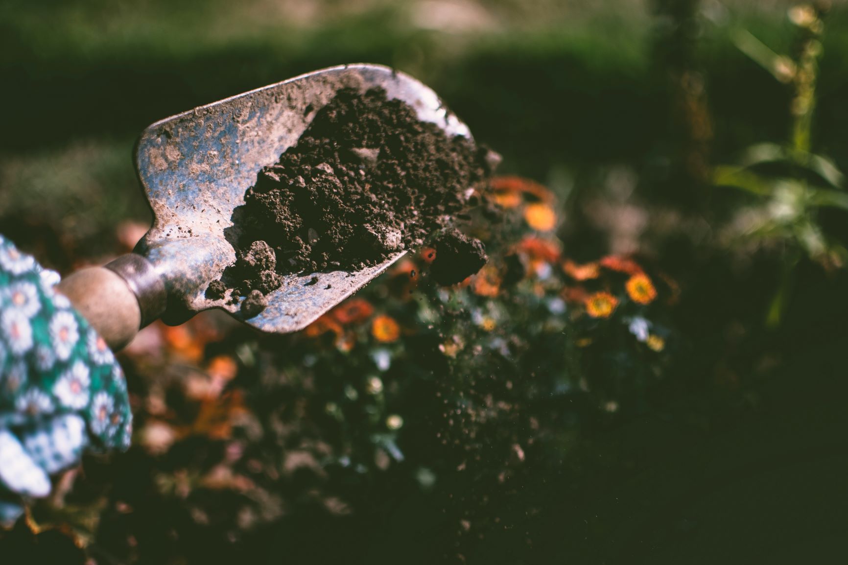Close up of soil in a garden spade