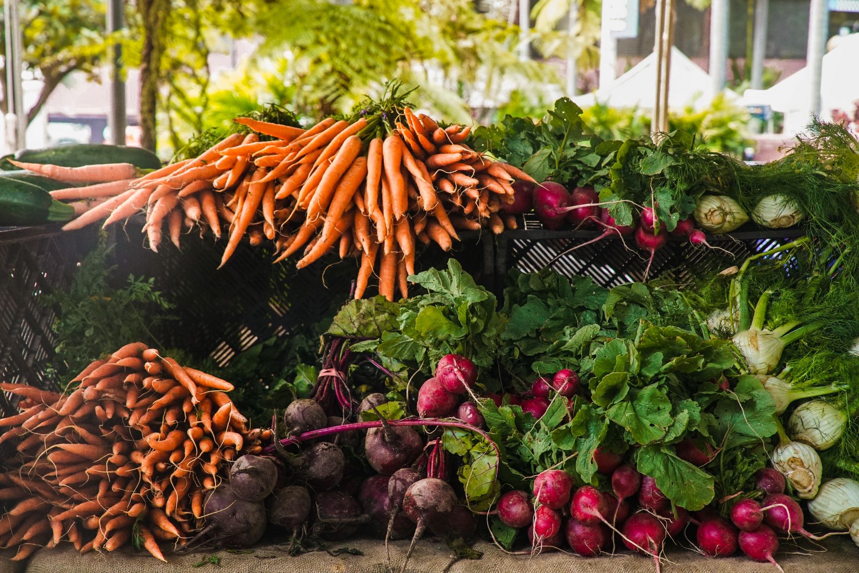 Carrots, radishes, and beets on display at a local farmers market
