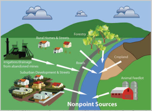 Infographic depicting sources of nonpoint source pollution