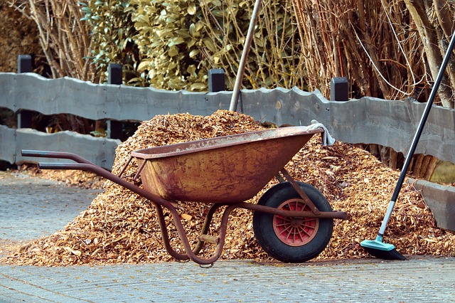 An example of mulch material - wood chips in a wheelbarrow